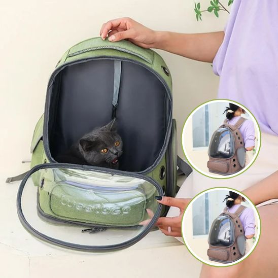 sac de transport chat