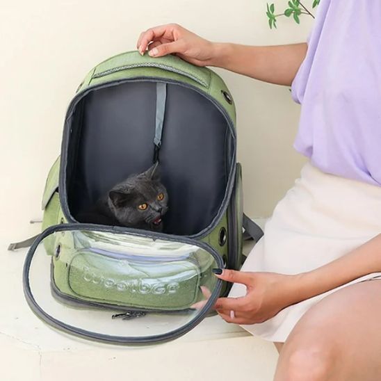 sac de transport chat
