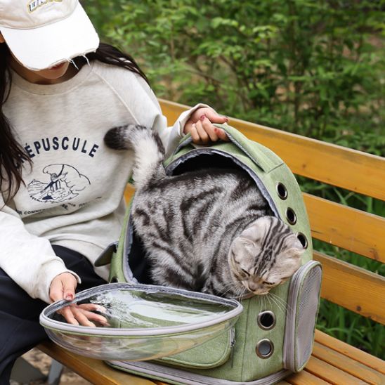 sac de transport chat