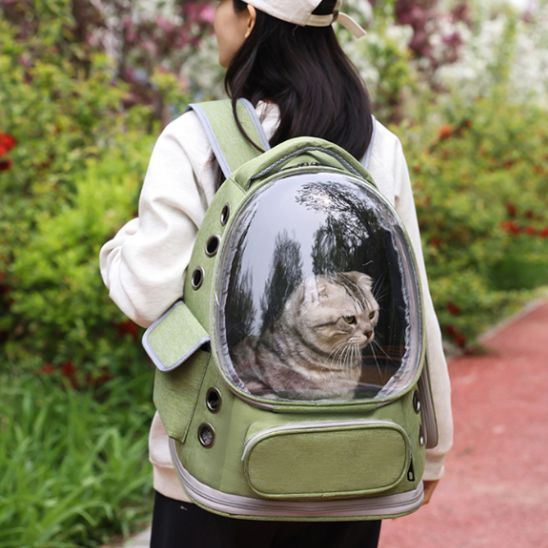 sac de transport chat