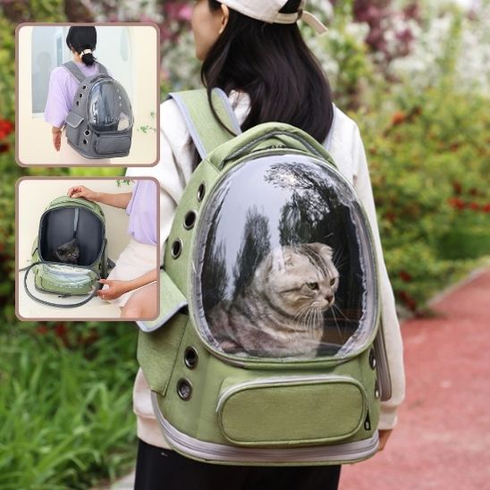 sac de transport chat