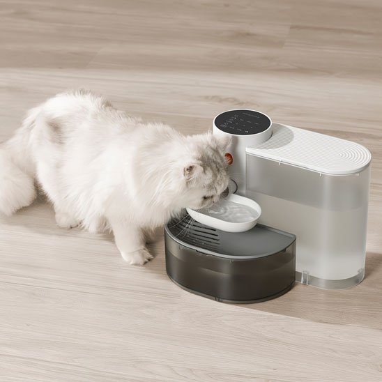 Fontaine a eau chat | Hydrapur