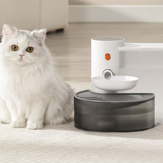 Fontaine a eau chat | Hydrapur