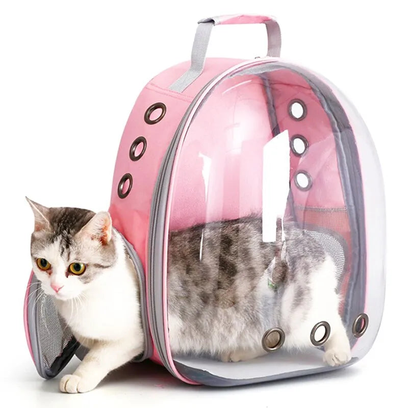 sac de transport chat