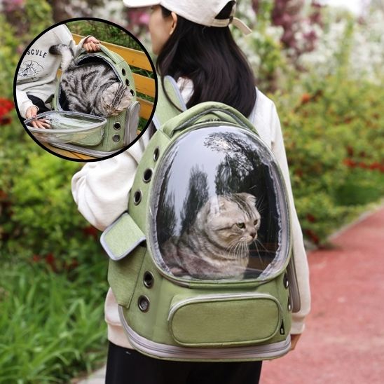 sac de transport chat