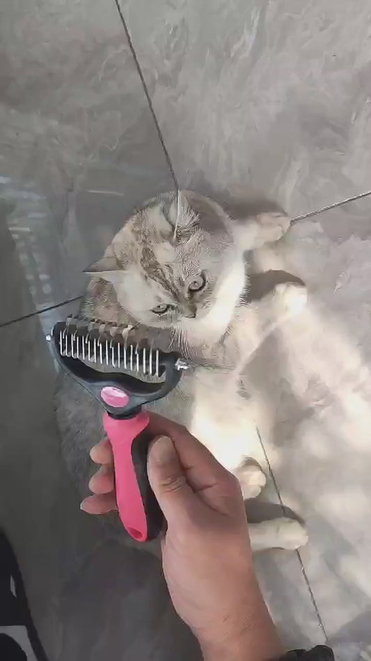 Brosse de toilettage