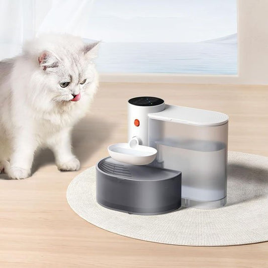Fontaine a eau chat | Hydrapur