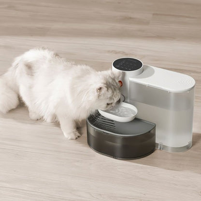 Fontaine a eau chat | Hydrapur