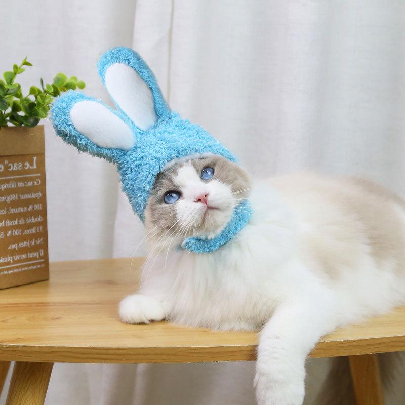 RabbitHat™ - Accessoire de déguisement pour chat - Grosminet